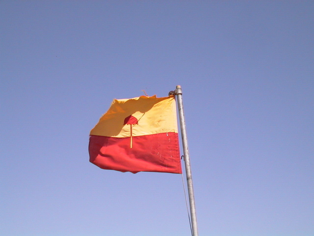 Bhati Flag